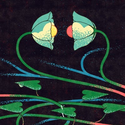 Cross Pollination II