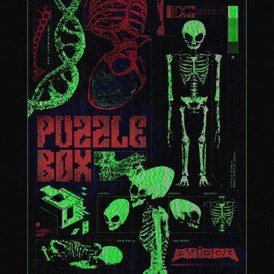 Puzzle Box