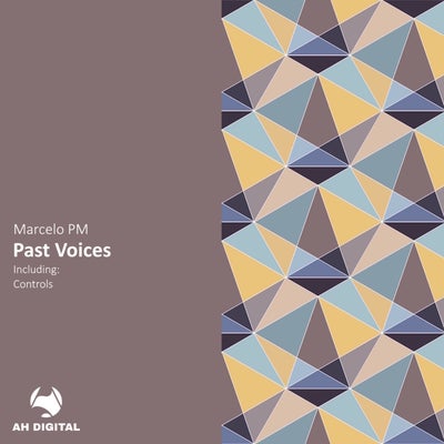 Past Voices