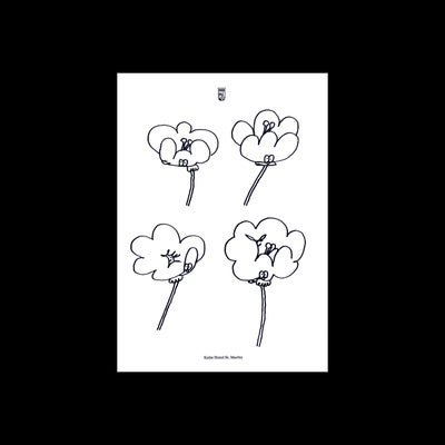 Poppies