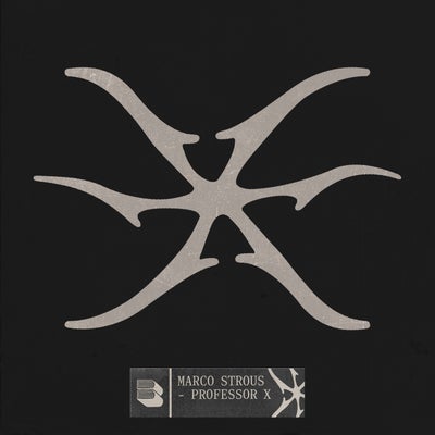 Professor X