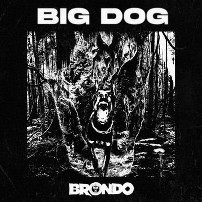 Big Dog