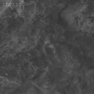 Cloud Bloom / Echoes