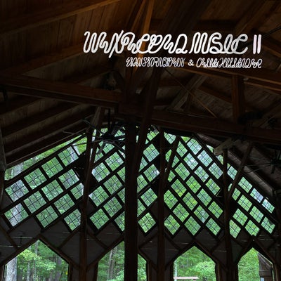 Unexpected Music II