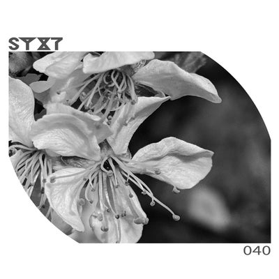 Syxt040