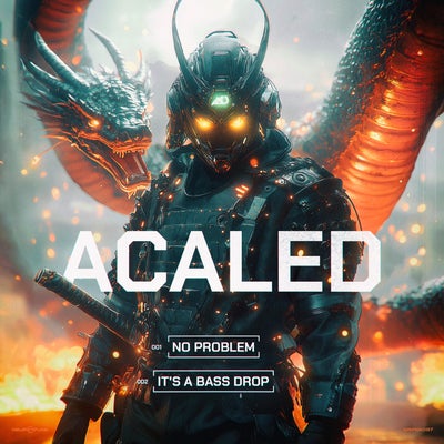 No Problem, It's a Bass Drop