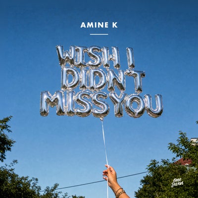 Wish I Didn't Miss You (Extended Mix)