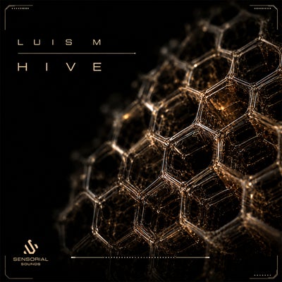 Hive