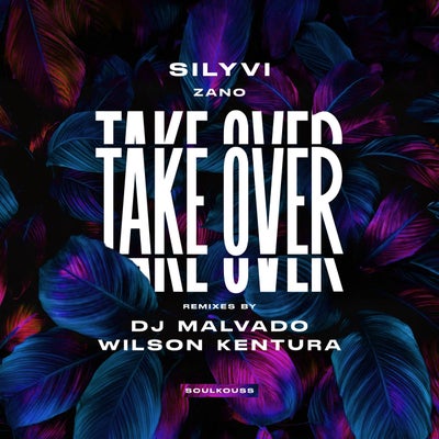 Take Over (Remixes)