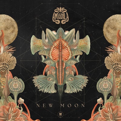 New Moon