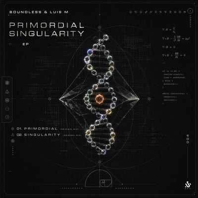 Primordial Singularity