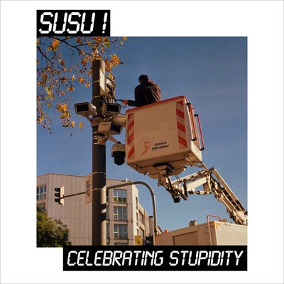 Celebrating Stupidity