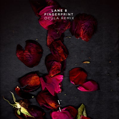Fingerprint (OCULA Remix)