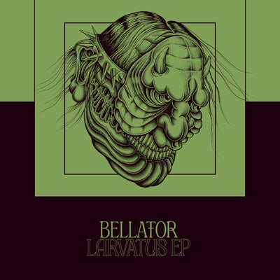 Bellator Larvatus