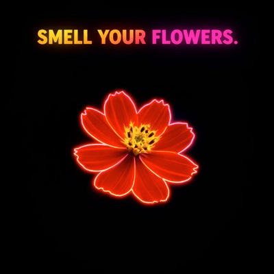 Smell Your Flowers (feat. Mapiano Kings)