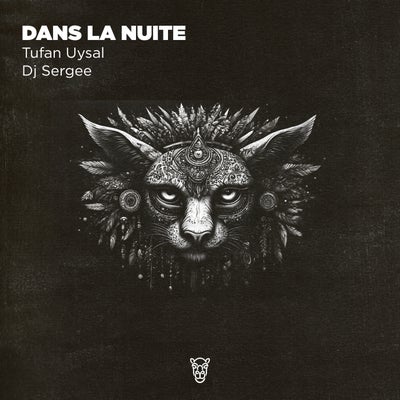 Dans La Nuit