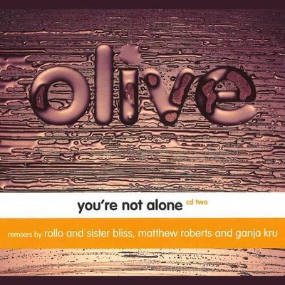 You're Not Alone (EP 2)