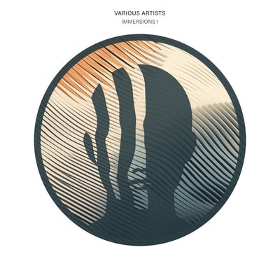 Immersions I