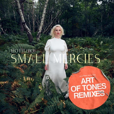 Small Mercies (Art Of Tones Remixes)