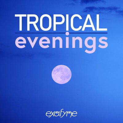 Tropical Evenings