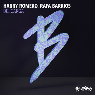 Descarga