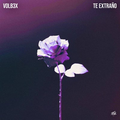 Te Extraño