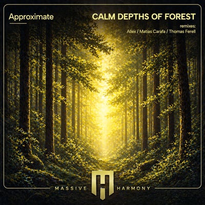Calm Depths of Forest
