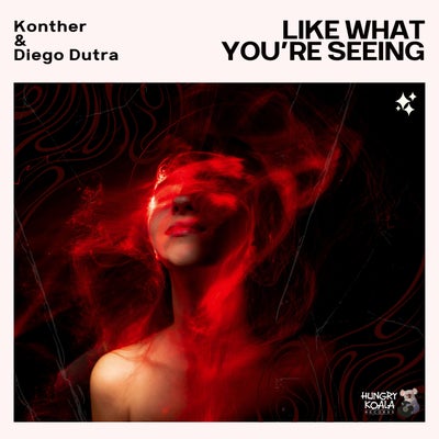 Like What You're Seeing (Extended Mix)