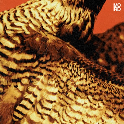 Highland Frequencies EP
