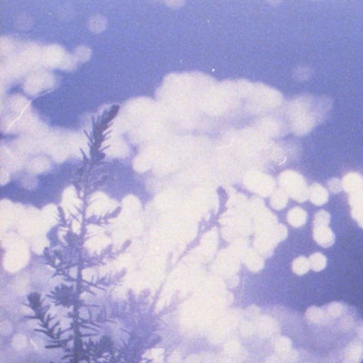 A Word Spoken by the Sunlight