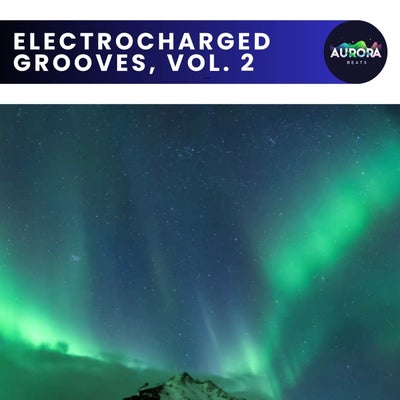 Electrocharged Grooves, Vol. 2