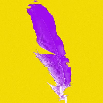 Spirit Bird 