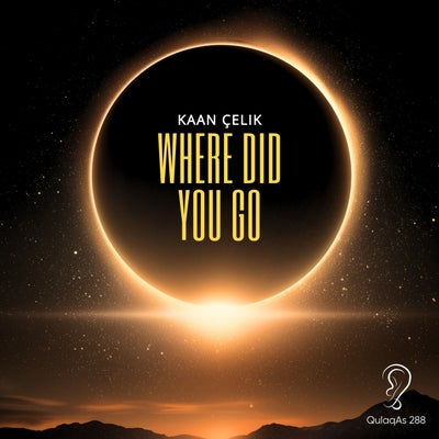 Where Did You Go