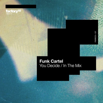 You Decide / In The Mix