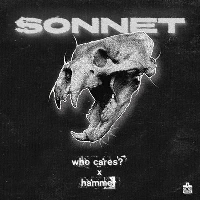 Who Cares? / Hammer