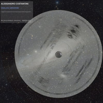 Analog Universe