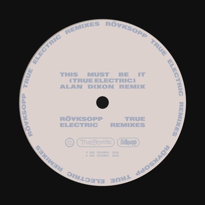 This Must Be It (feat. Fever Ray) [Alan Dixon Remix]