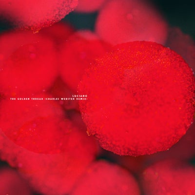 The Golden Thread (Charles Webster Remix)