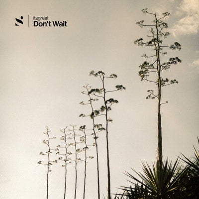 Don't Wait