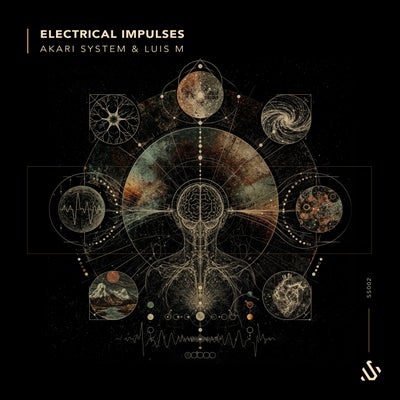 Electrical Impulses