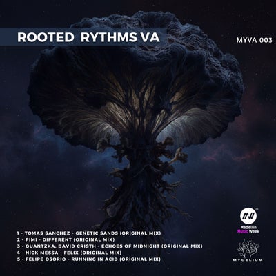 Rooted Rythms VA 3