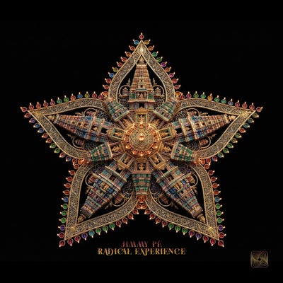 Radical Experience