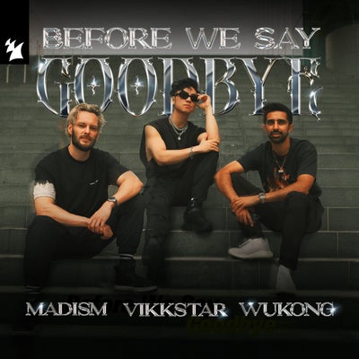 Before We Say Goodbye