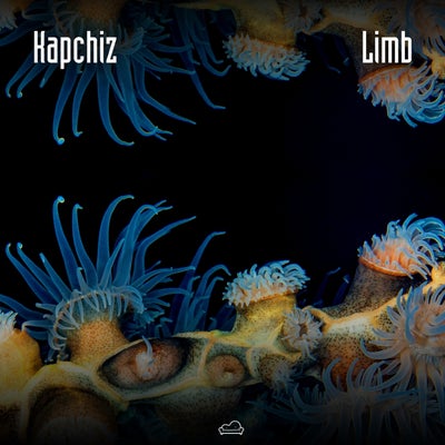 Limb
