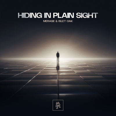 Hiding In Plain Sight