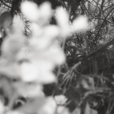 Time Vials, Pt. 4