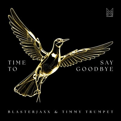 Time To Say Goodbye (Extended Mix)