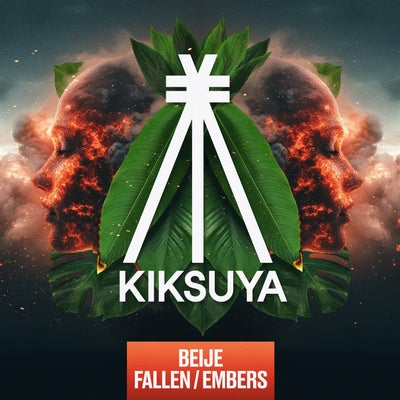 Fallen / Embers