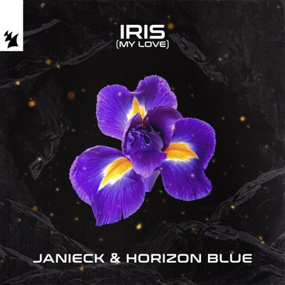 Iris (My Love)