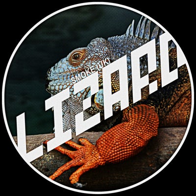 Lizard